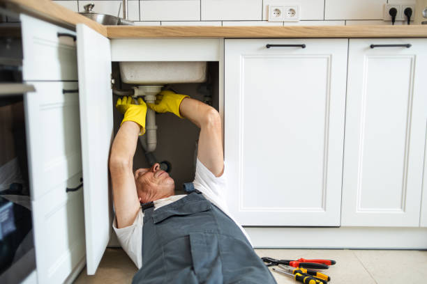 Best Clogged Drain Plumber  in Herricks, NY